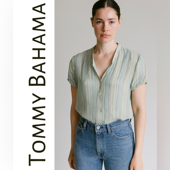 Tommy Bahama Women's 100% Silk Sheer Striped Top - Green - Picture 1 of 6